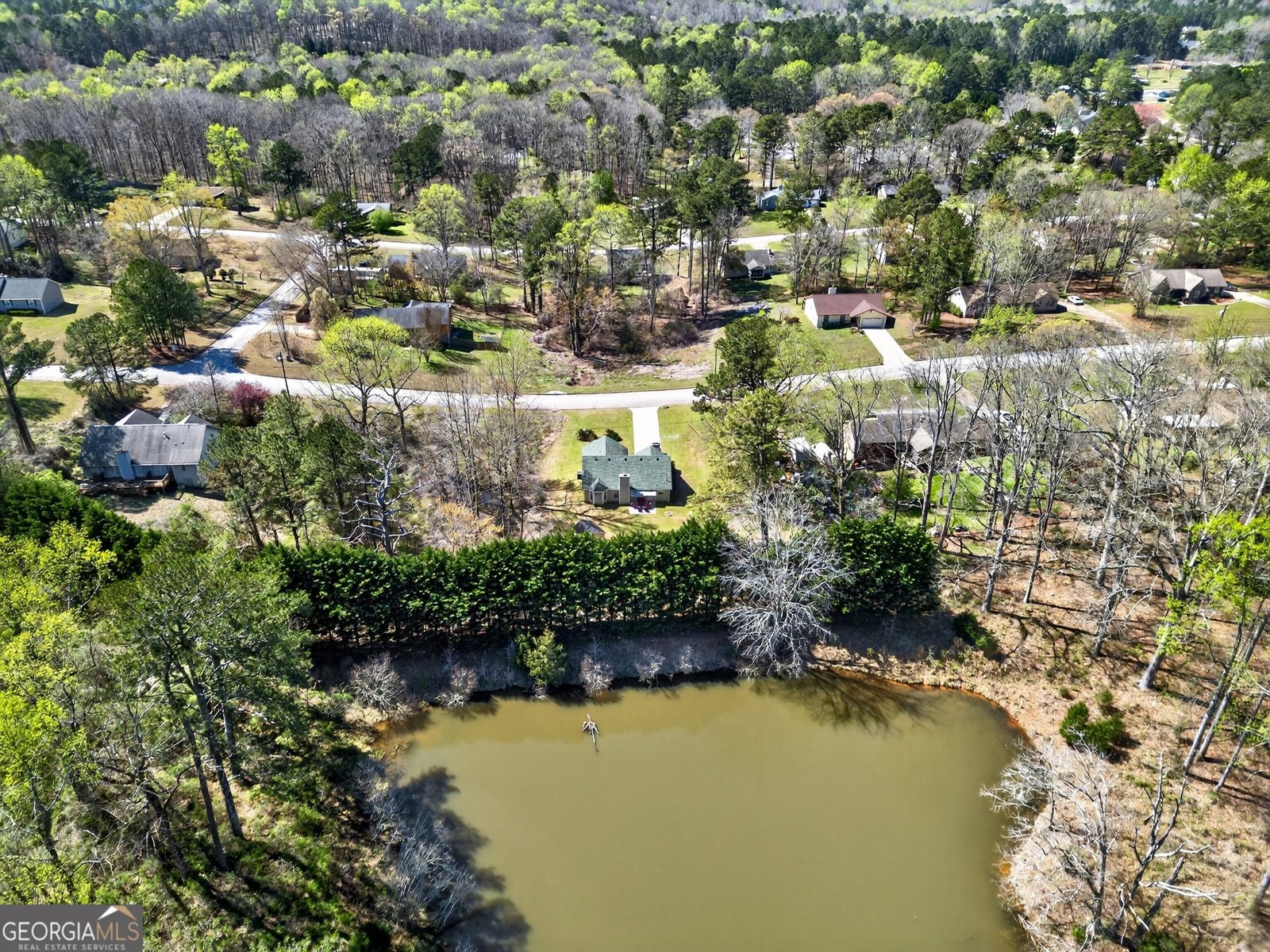 217 Farmbrook Parkway Stockbridge - Photo 11