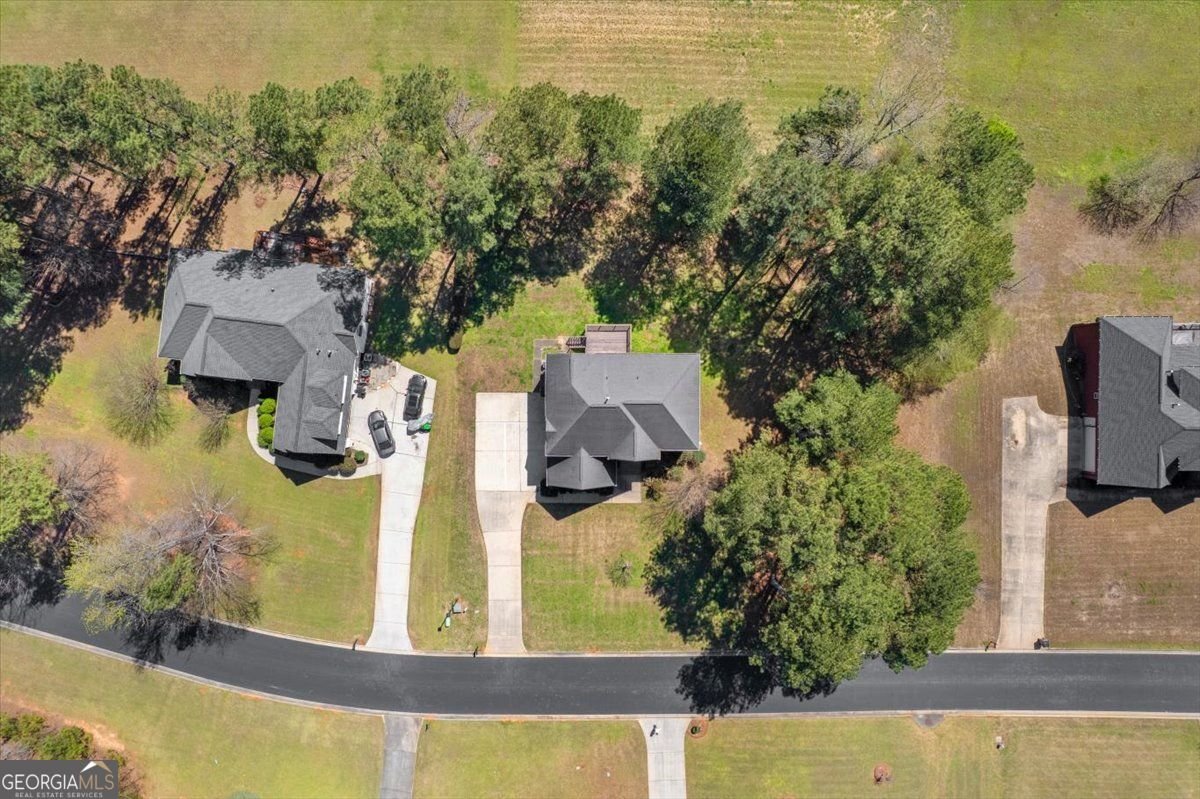 405 Branch Forest Way Stockbridge - Photo 64