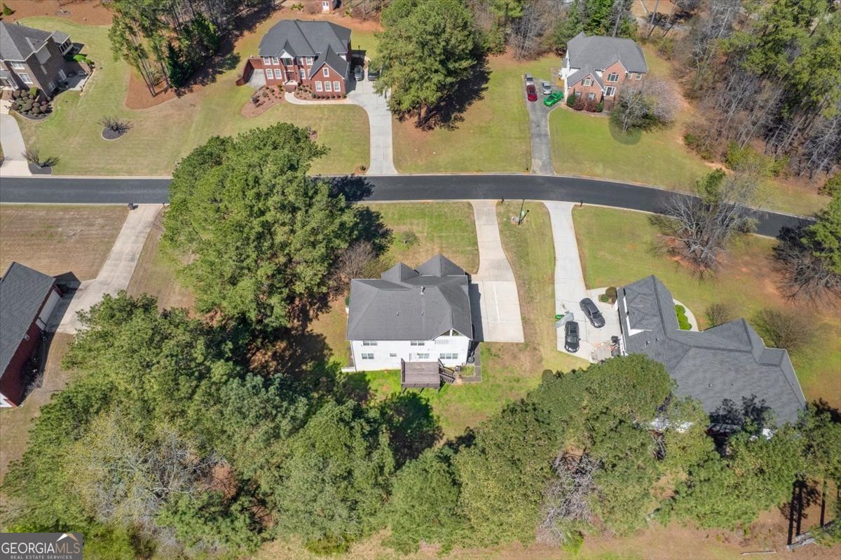 405 Branch Forest Way Stockbridge - Photo 65