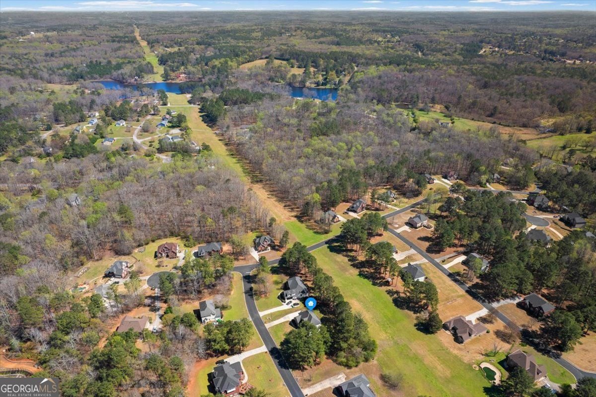 405 Branch Forest Way Stockbridge - Photo 66