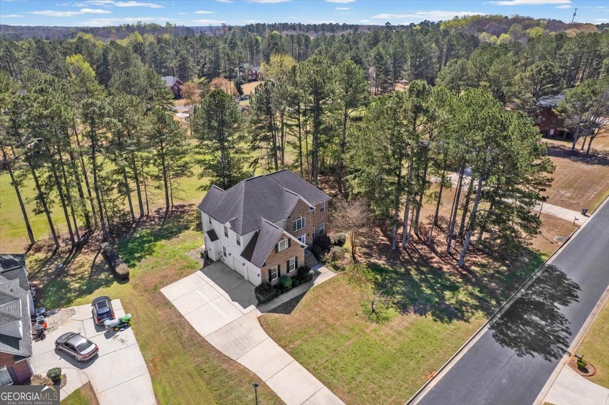 405 Branch Forest Way Stockbridge - Photo 67