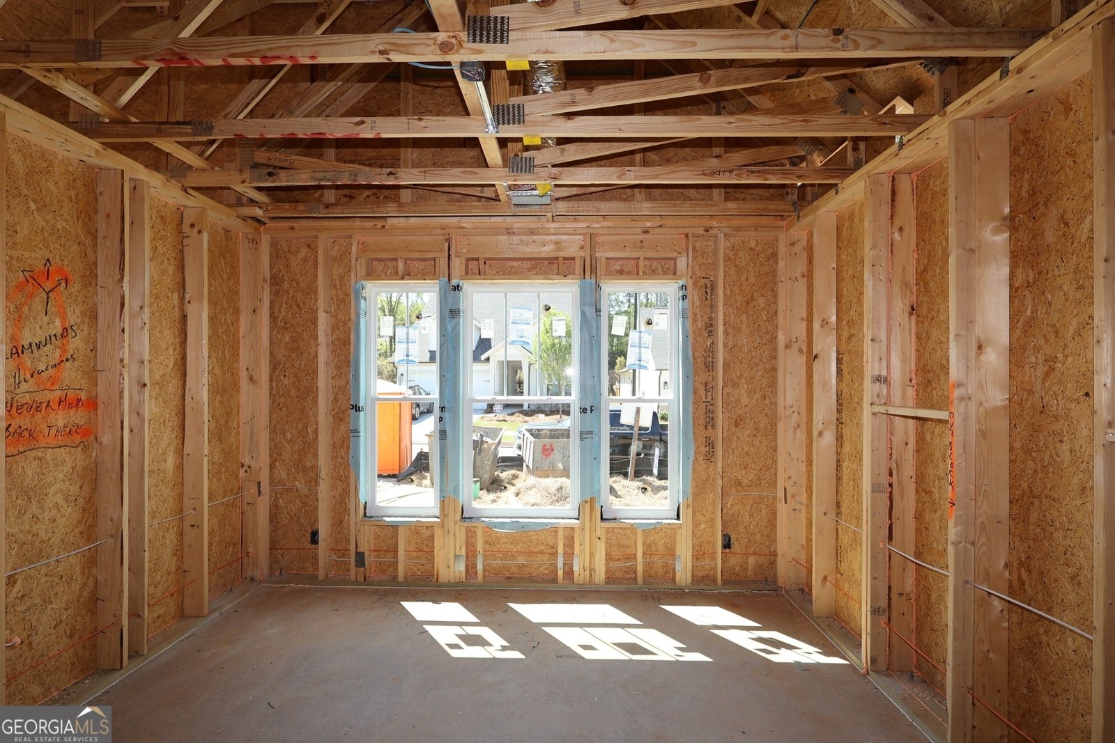 259 Strawberry Lane Woodstock - Photo 9