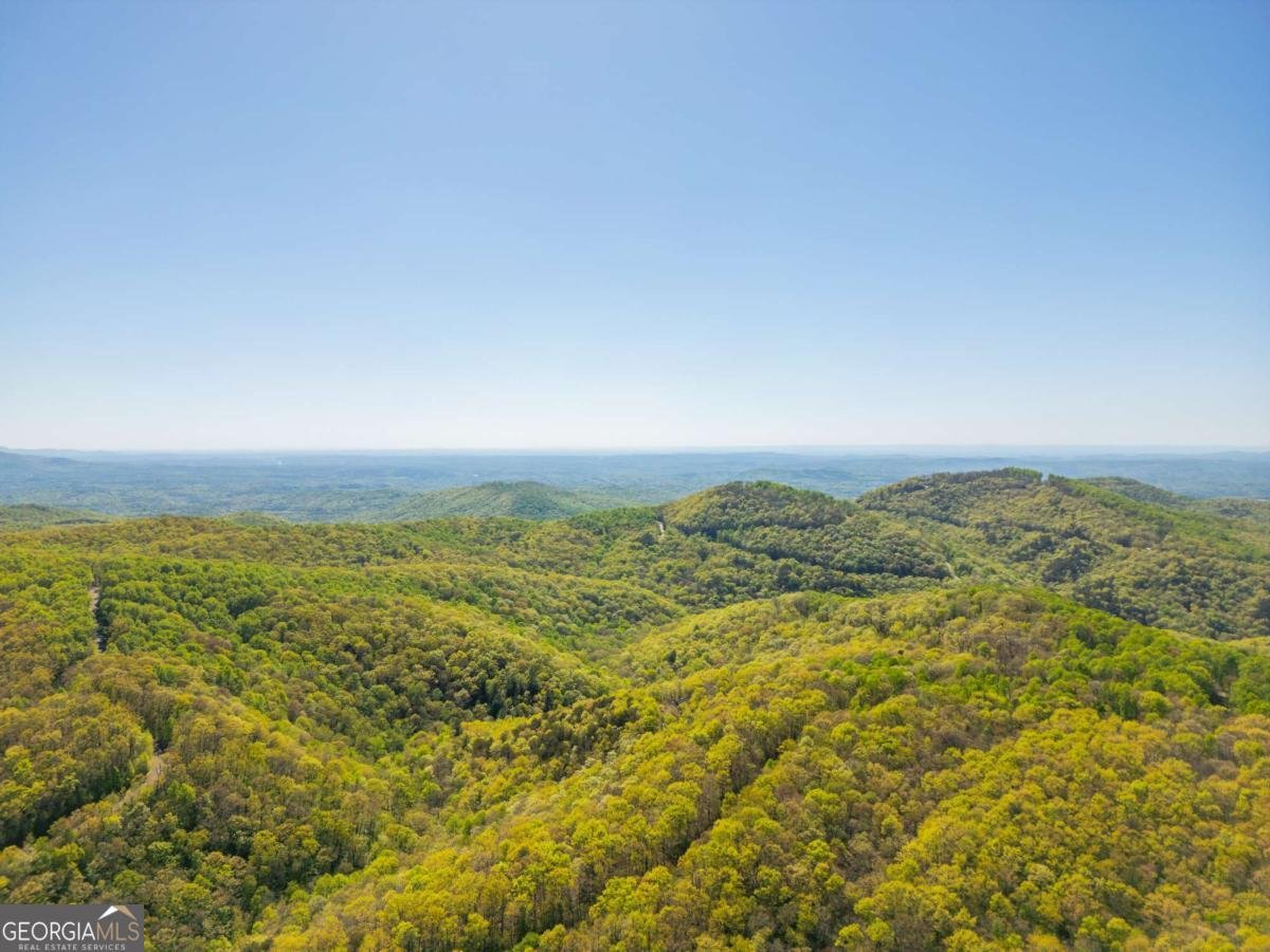 3184 Saint Andrews Way Ellijay - Photo 22