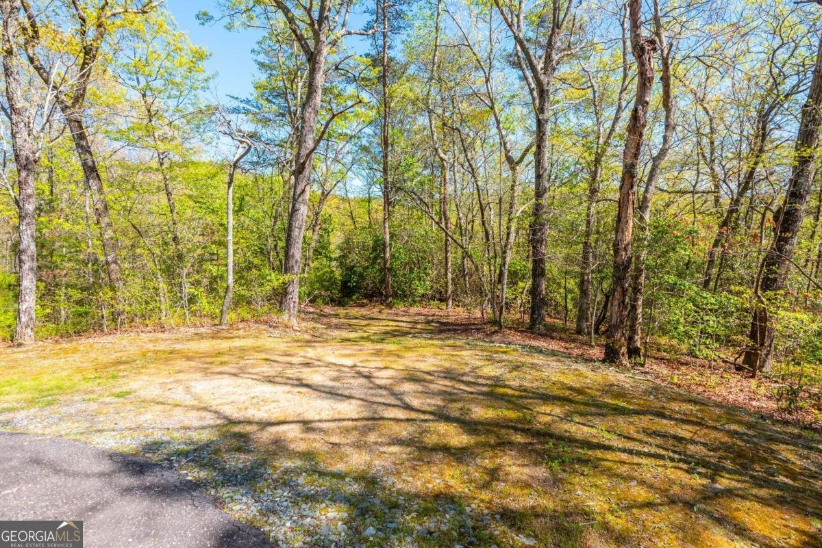 3184 Saint Andrews Way Ellijay - Photo 29