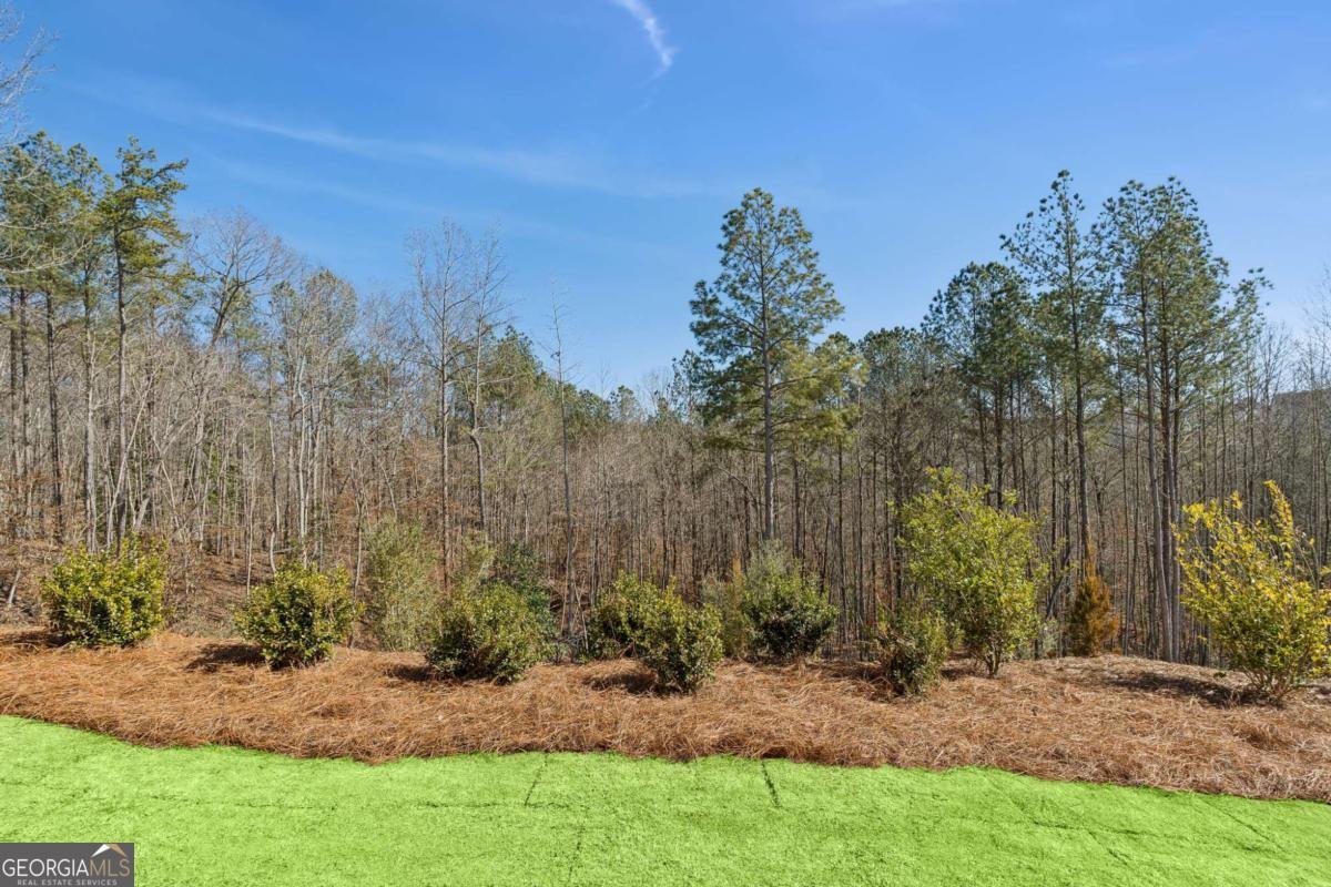 442 Laurelwood Lane Canton - Photo 15