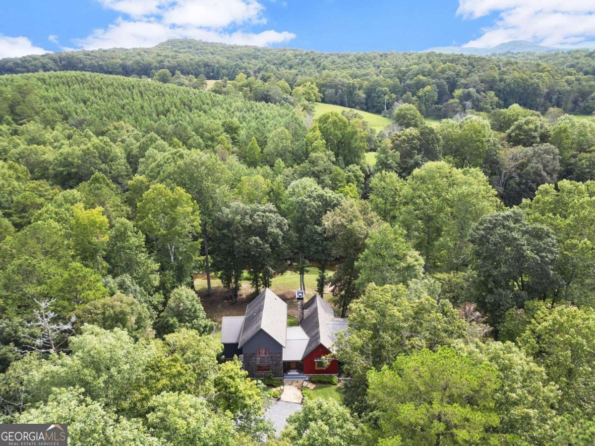 530 Burleson Road Ellijay - Photo 77