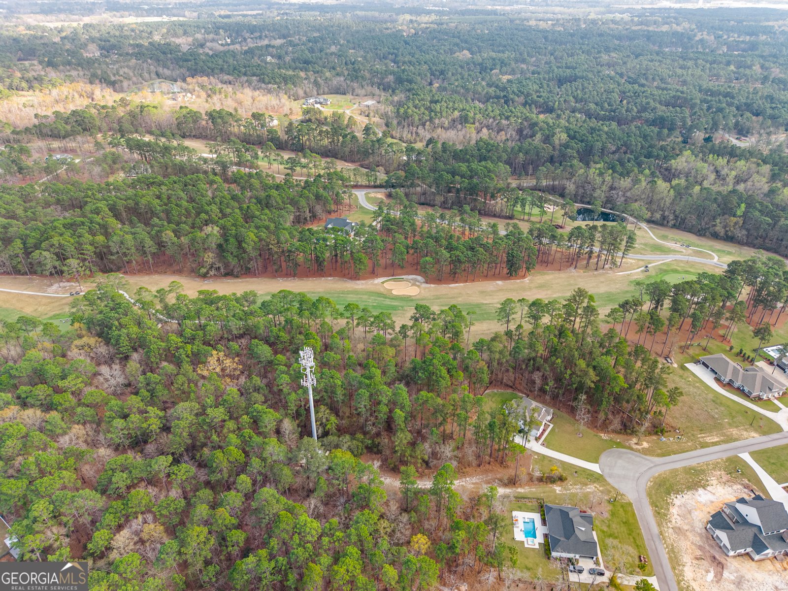 124 Evergreen Drive Statesboro - Photo 29