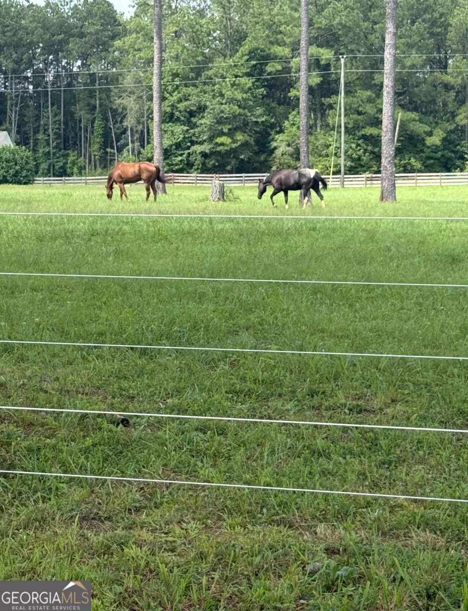 950 Island Shoals Road Jackson - Photo 21