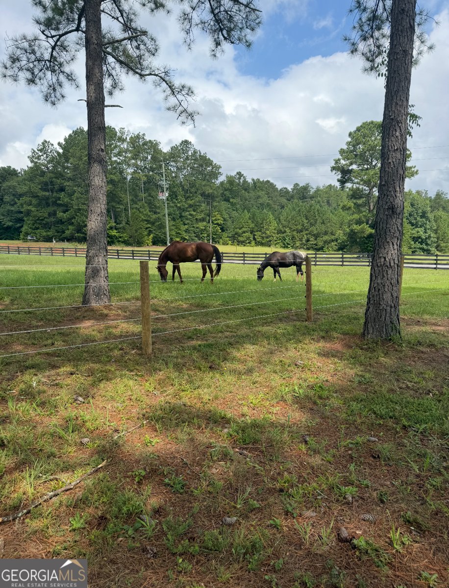 950 Island Shoals Road Jackson - Photo 22