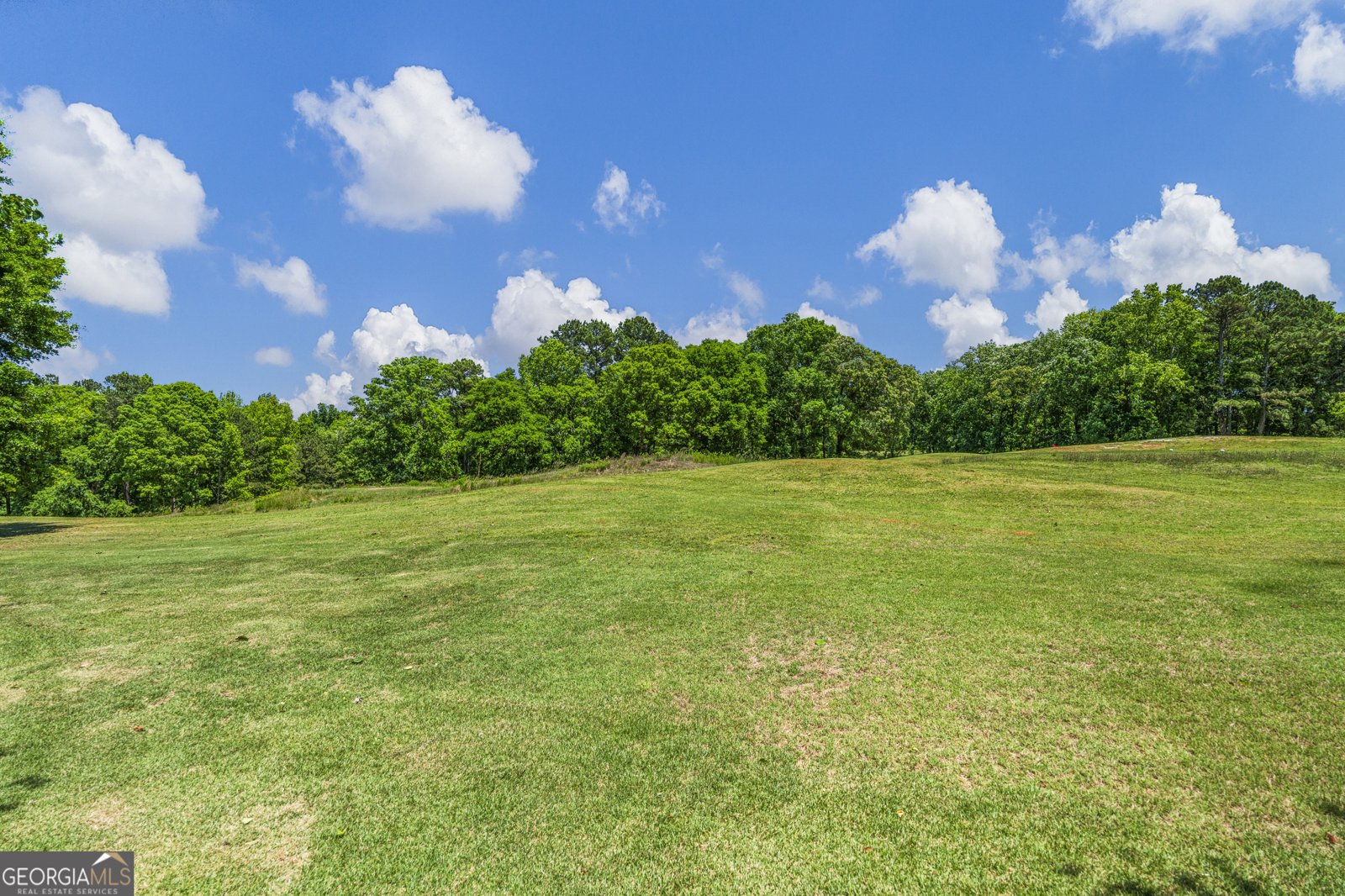 111 Prestwick Drive LaGrange - Photo 40