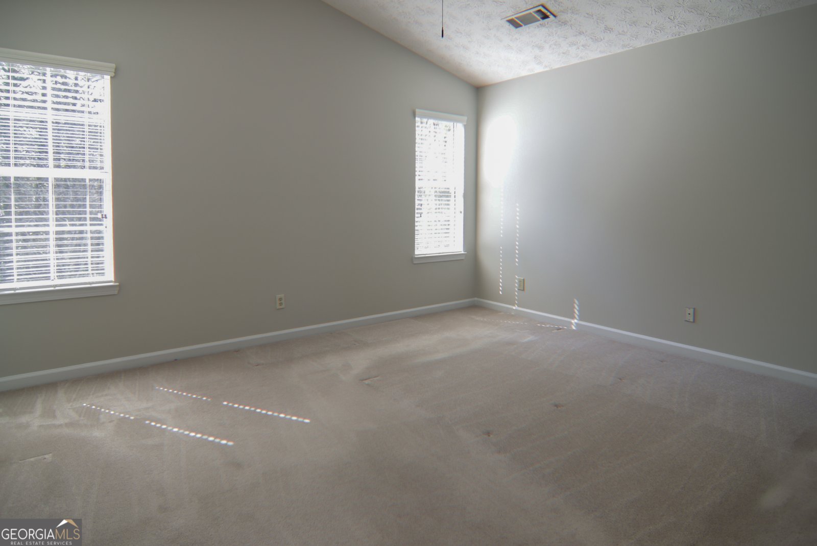 317 Winding Woods Trail Woodstock - Photo 23