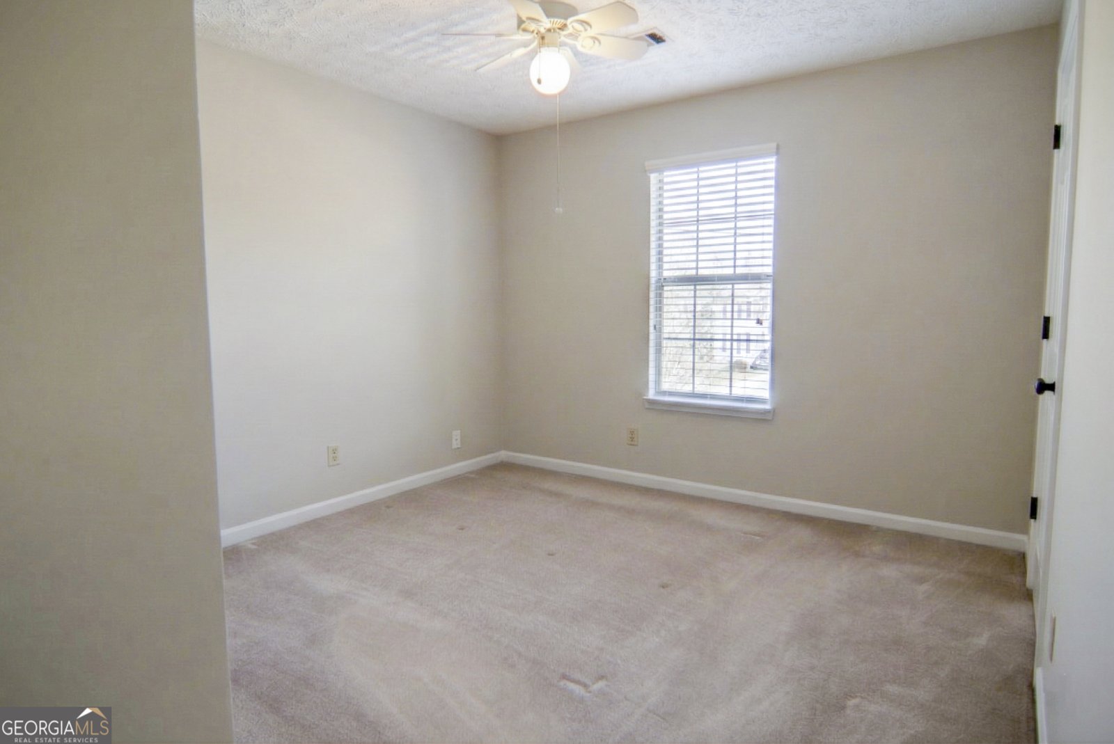 317 Winding Woods Trail Woodstock - Photo 25