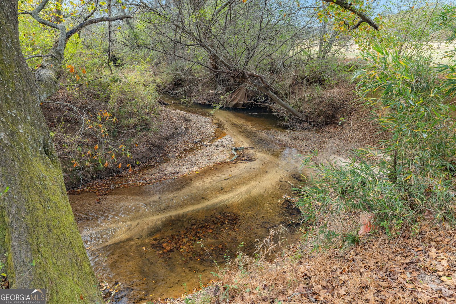 254 Lakewood Cove Drive Demorest - Photo 52