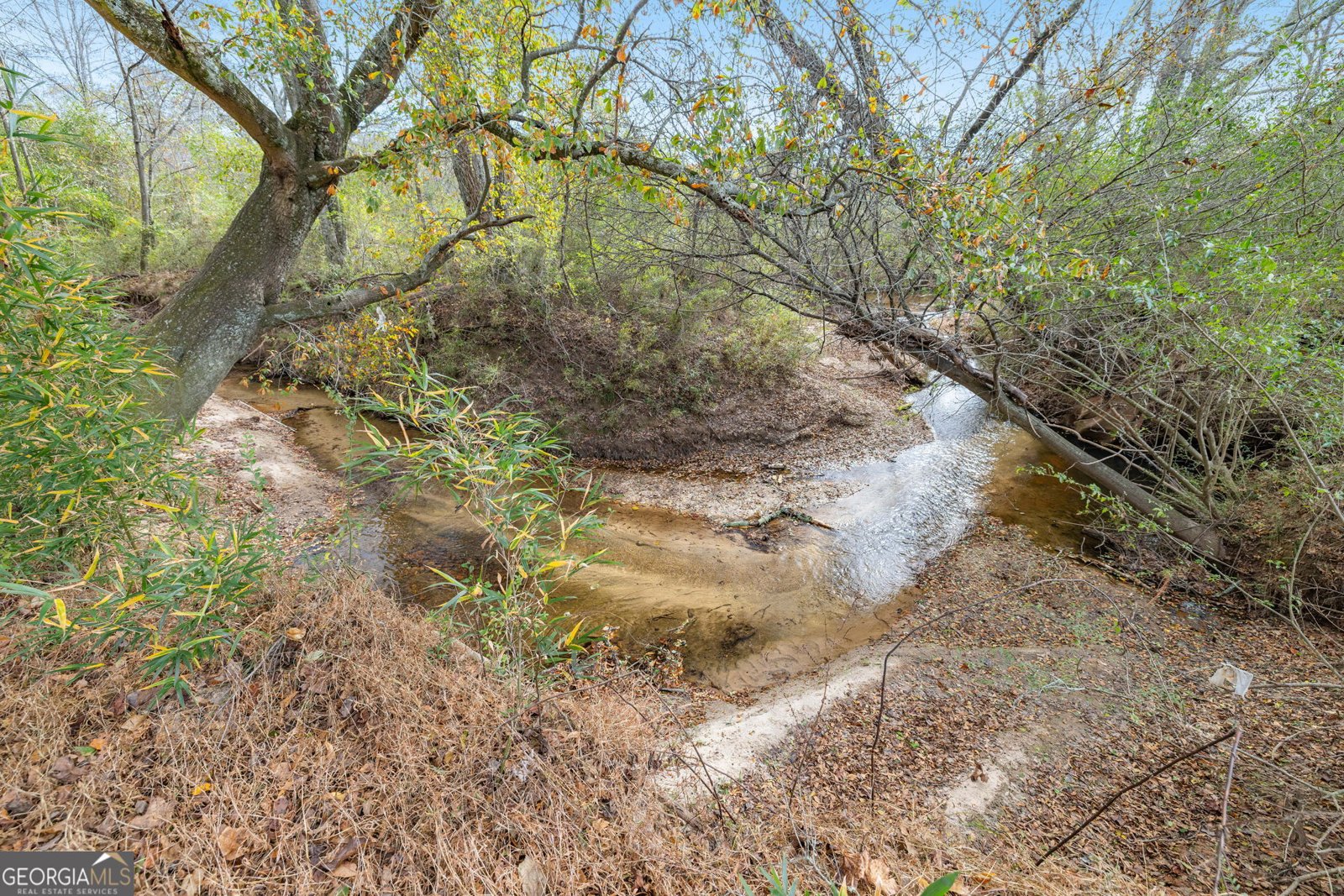 254 Lakewood Cove Drive Demorest - Photo 53