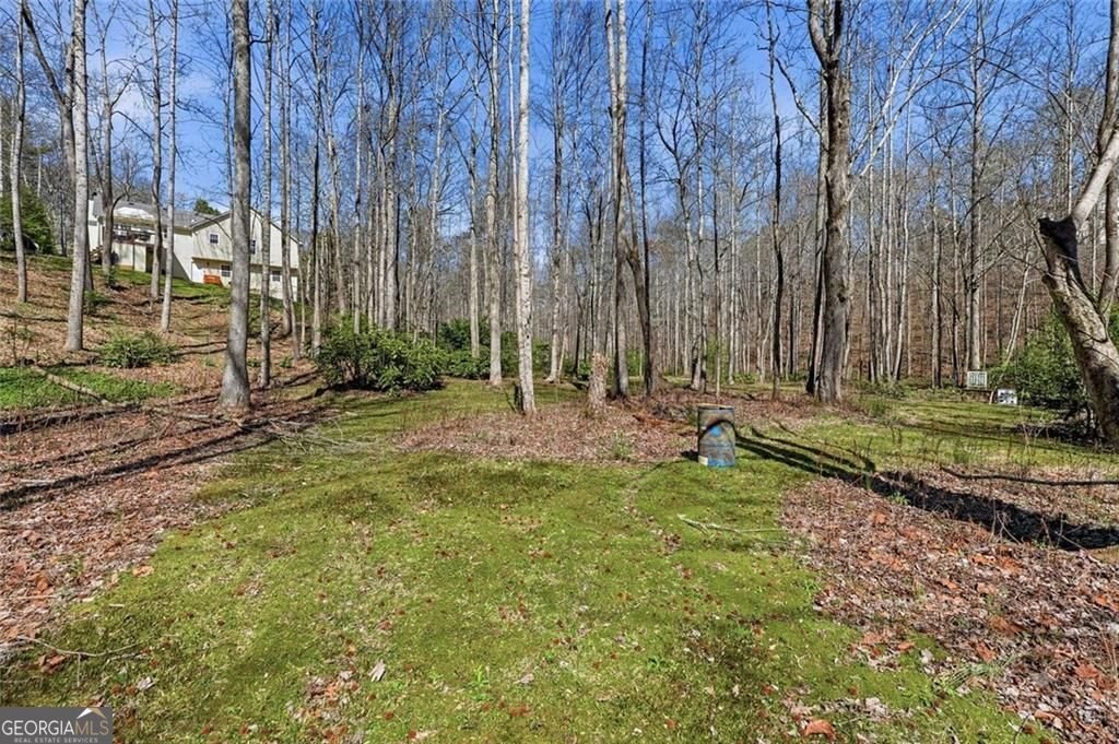 118 Jordan Lane Talking Rock - Photo 29