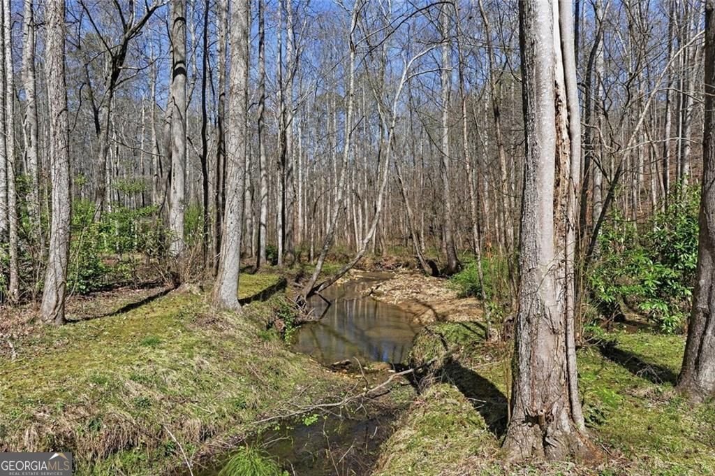 118 Jordan Lane Talking Rock - Photo 31