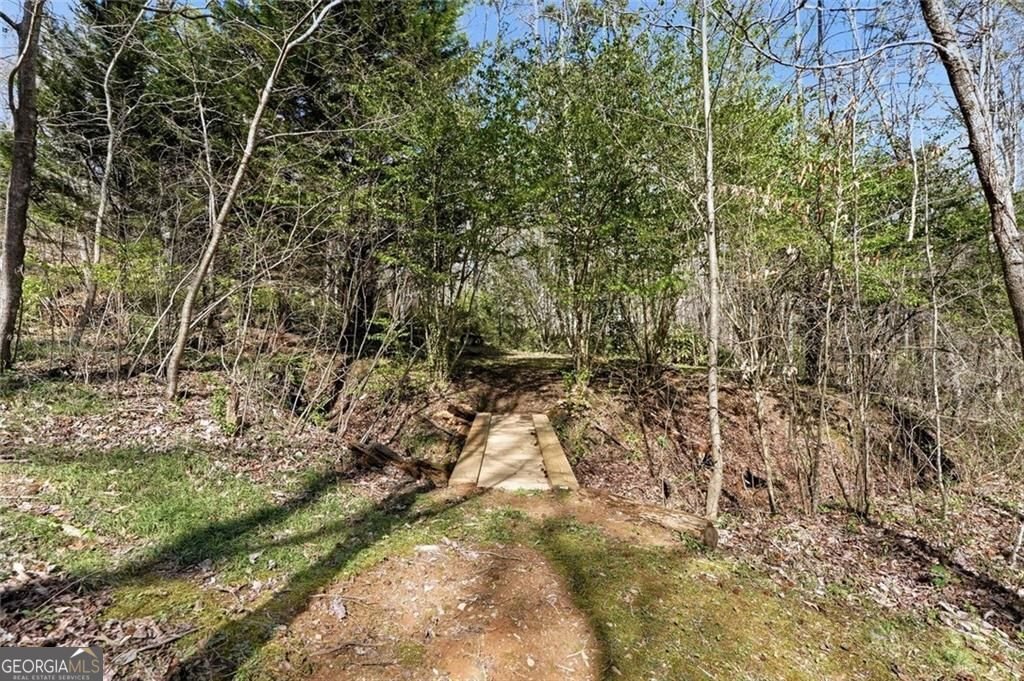 118 Jordan Lane Talking Rock - Photo 36