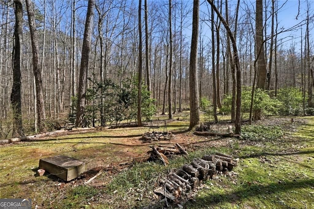 118 Jordan Lane Talking Rock - Photo 37