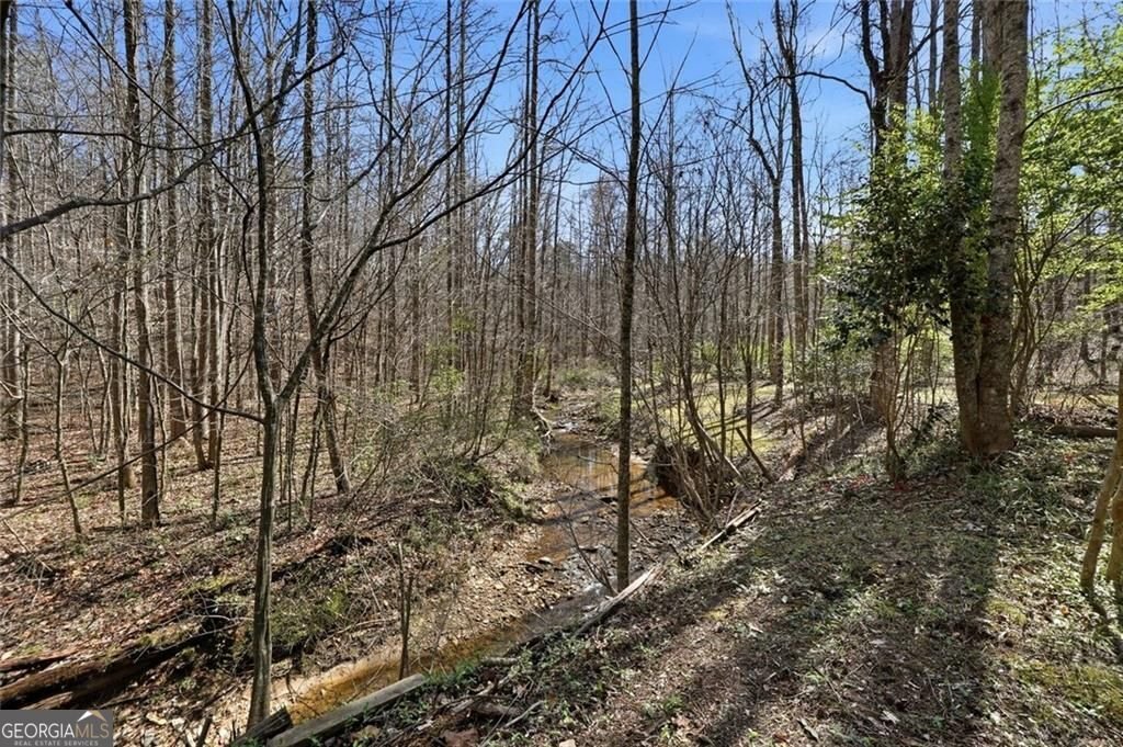 118 Jordan Lane Talking Rock - Photo 40