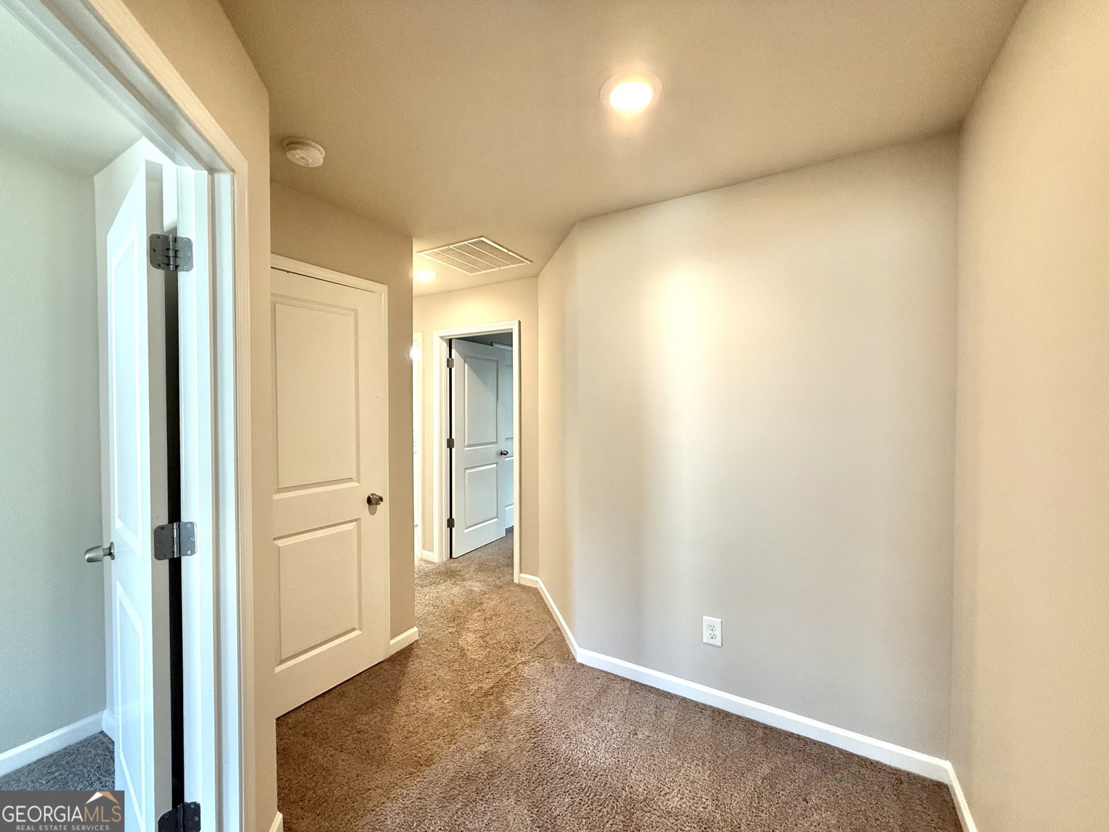 87 Mineral Springs Lane Newnan - Photo 11