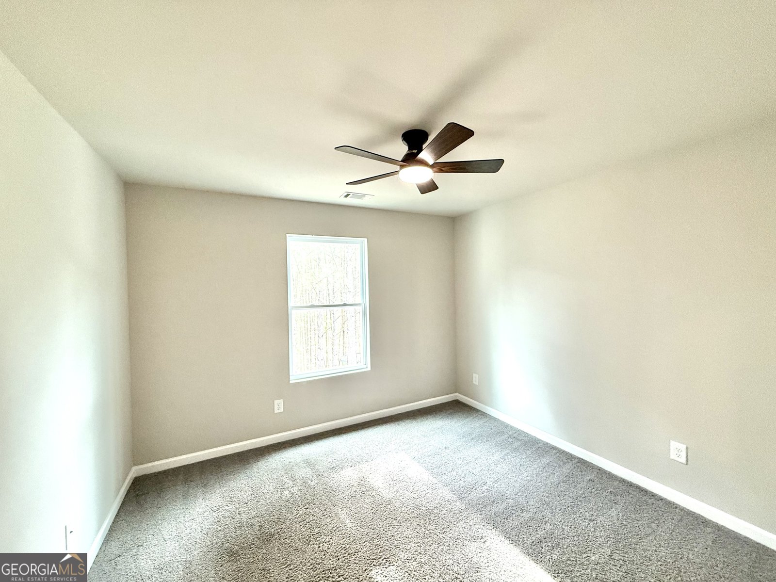 87 Mineral Springs Lane Newnan - Photo 19