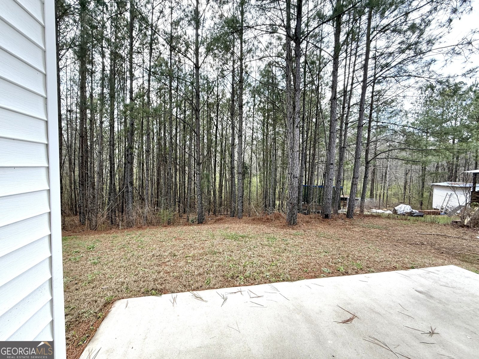 87 Mineral Springs Lane Newnan - Photo 25
