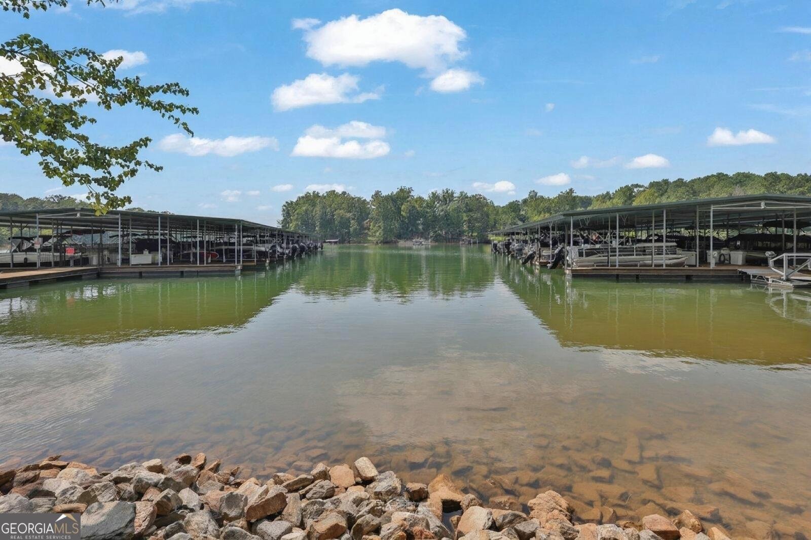 41 Lake Sydney Drive Dawsonville - Photo 32