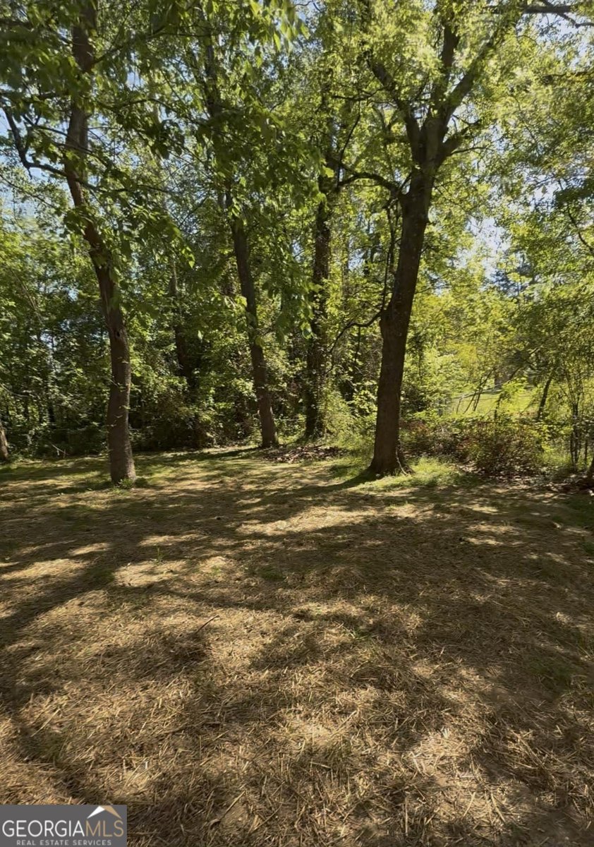 681 N Forest Lake Drive Macon - Photo 19