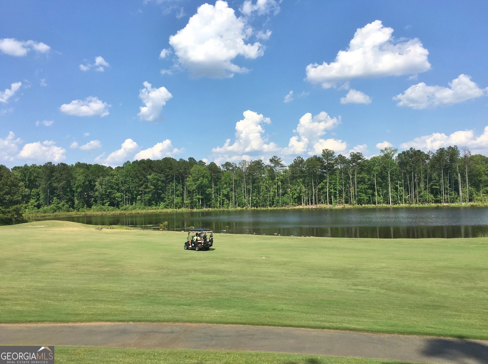 201 Crimson Way Peachtree City - Photo 79