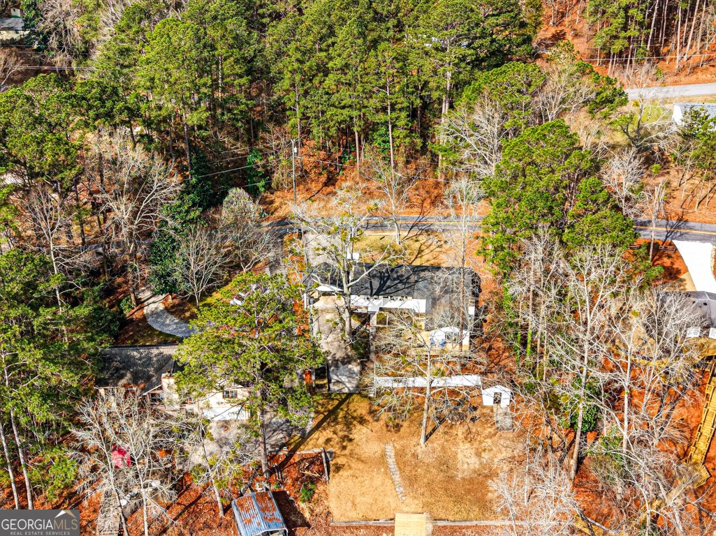 2439 Lakeshore Dr Conyers - Photo 82