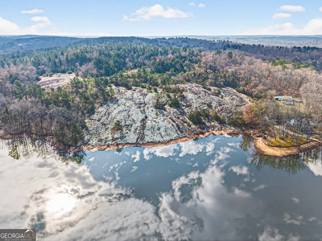 2439 Lakeshore Dr Conyers - Photo 88