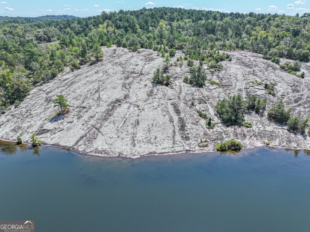 2439 Lakeshore Dr Conyers - Photo 89