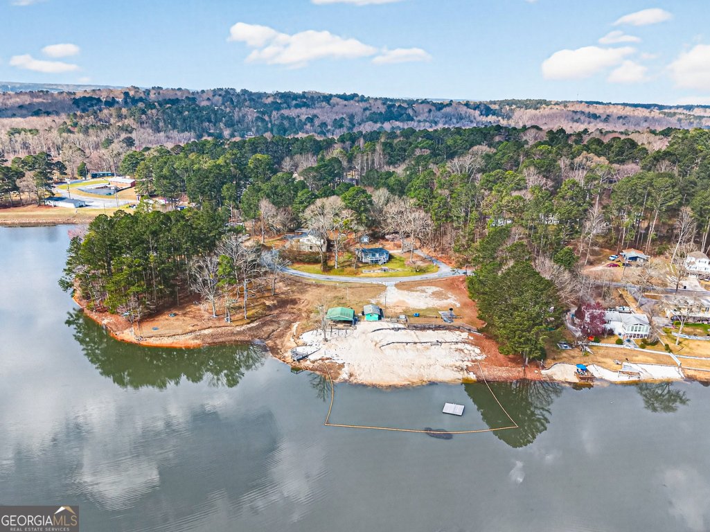 2439 Lakeshore Dr Conyers - Photo 91