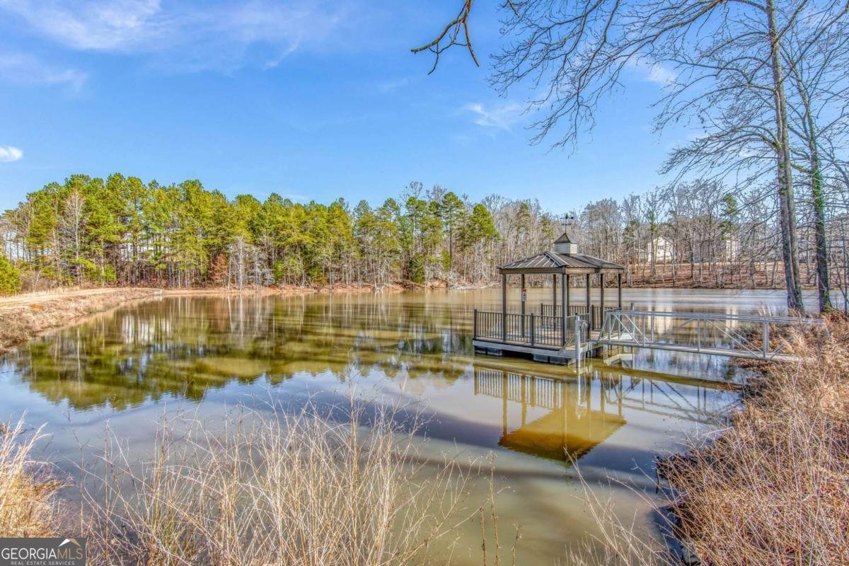 7095 Evening Dew Drive Cumming - Photo 50