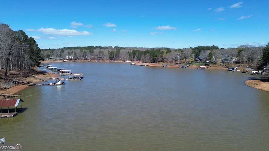 206 Goff Drive Martin - Photo 10