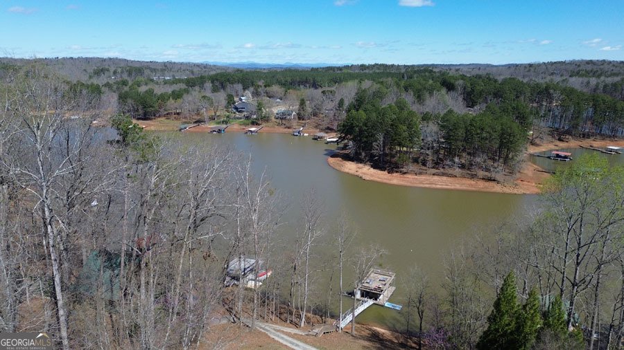 206 Goff Drive Martin - Photo 35