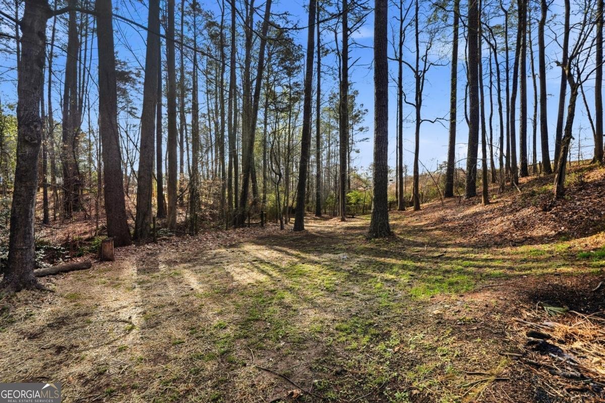 1483 Heritage Way Acworth - Photo 47