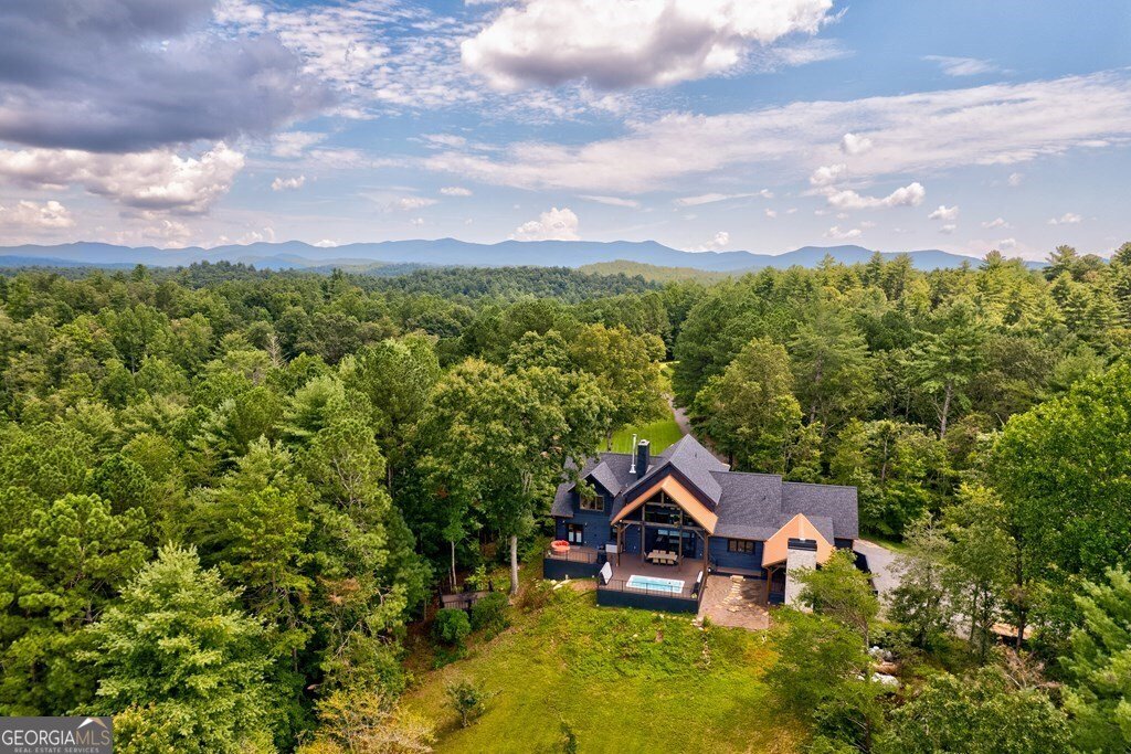 312 Charles Road Ellijay - Photo 38