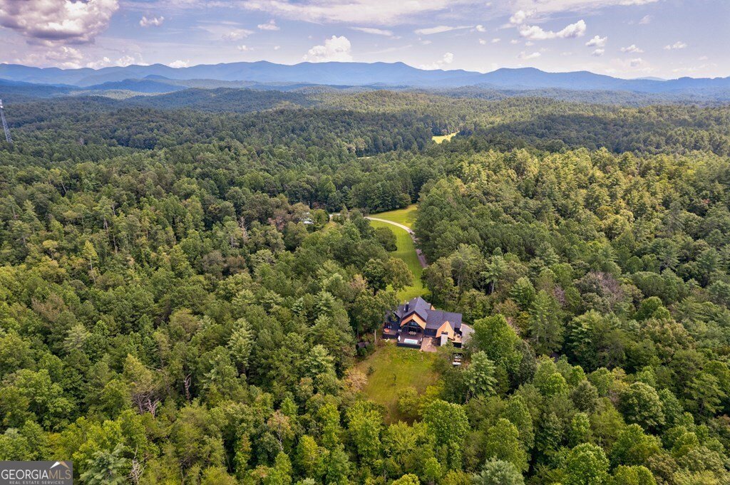 312 Charles Road Ellijay - Photo 39