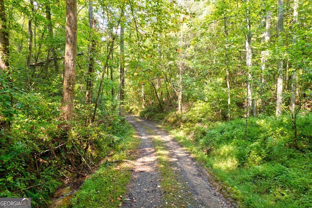 312 Charles Road Ellijay - Photo 60