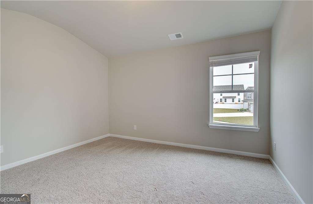 1152 Bodega Loop Locust Grove - Photo 19