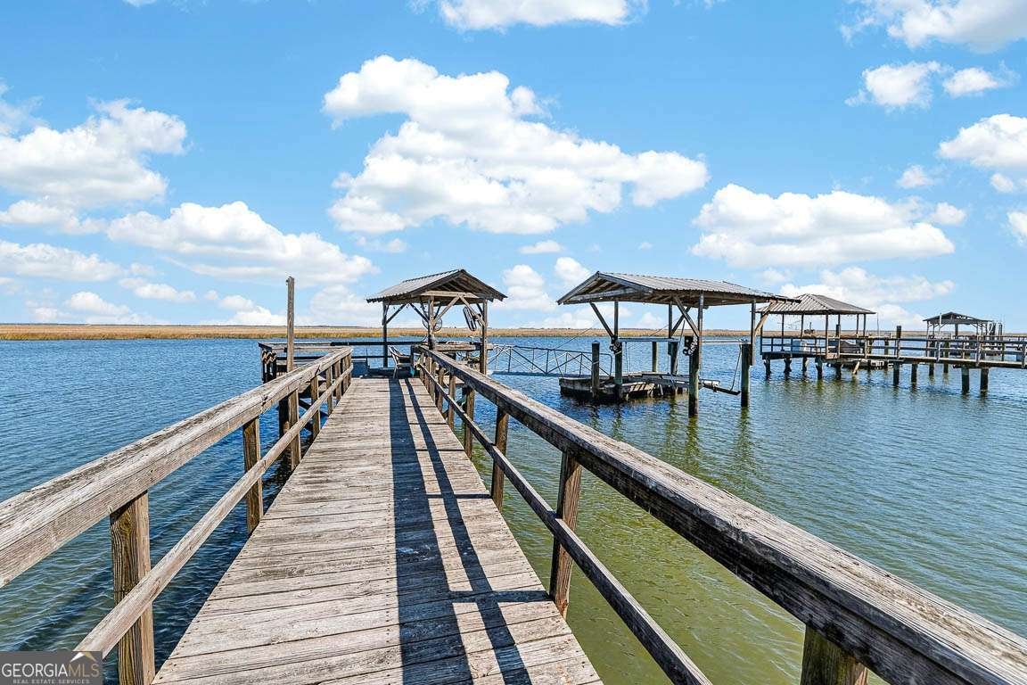 493 Dover Island Trail Waverly - Photo 31