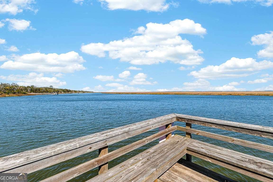 493 Dover Island Trail Waverly - Photo 32