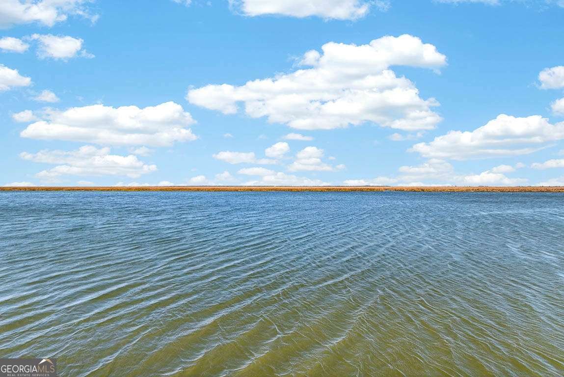 493 Dover Island Trail Waverly - Photo 41