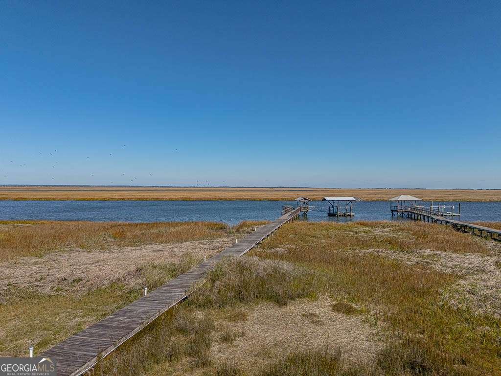 493 Dover Island Trail Waverly - Photo 47