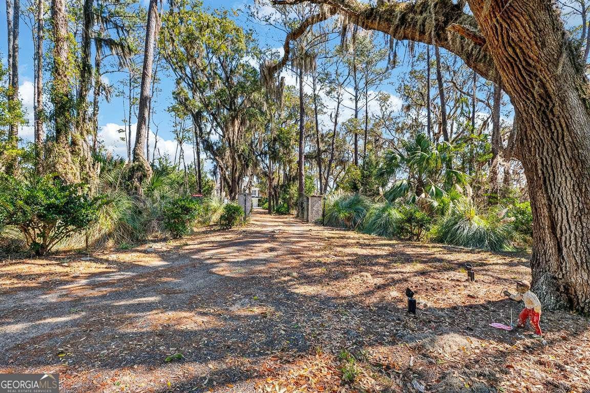 493 Dover Island Trail Waverly - Photo 48