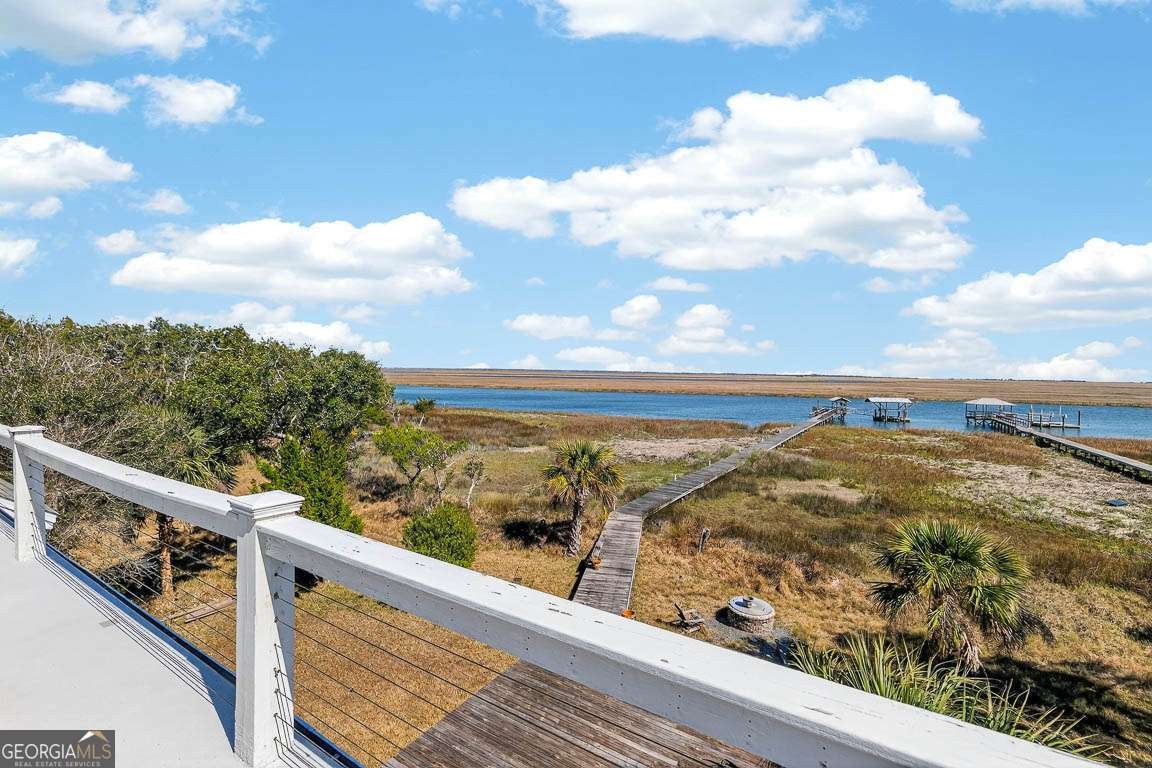 493 Dover Island Trail Waverly - Photo 52