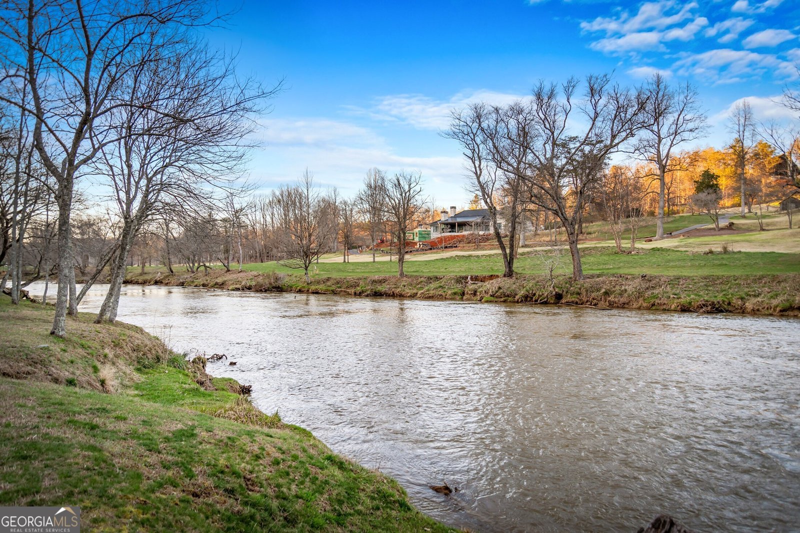 351 Toccoa Preserve Lane Blue Ridge - Photo 59