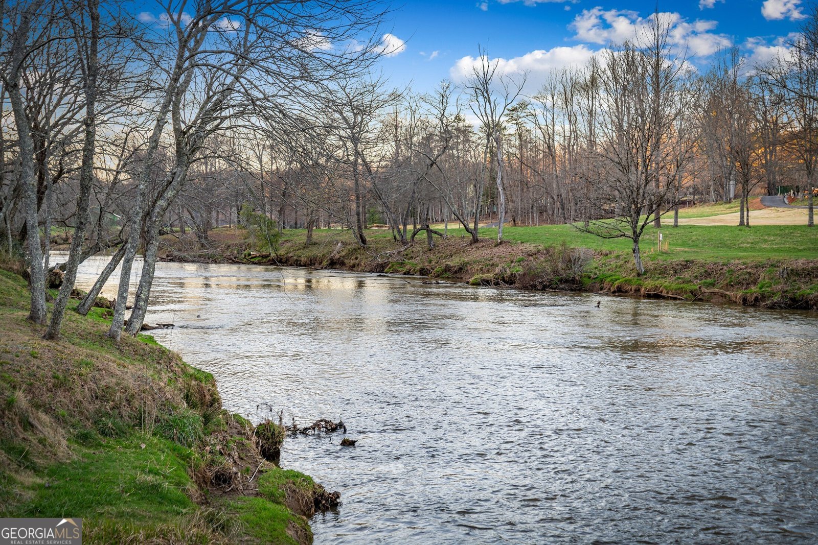 351 Toccoa Preserve Lane Blue Ridge - Photo 60