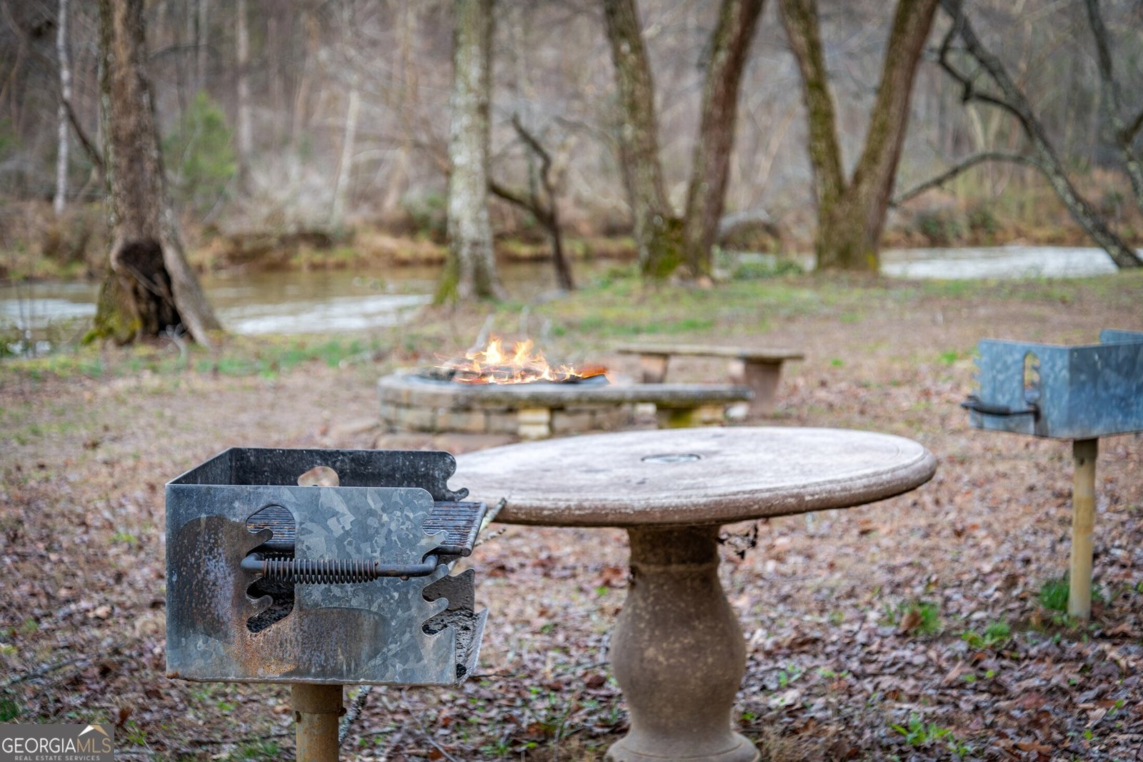 351 Toccoa Preserve Lane Blue Ridge - Photo 64